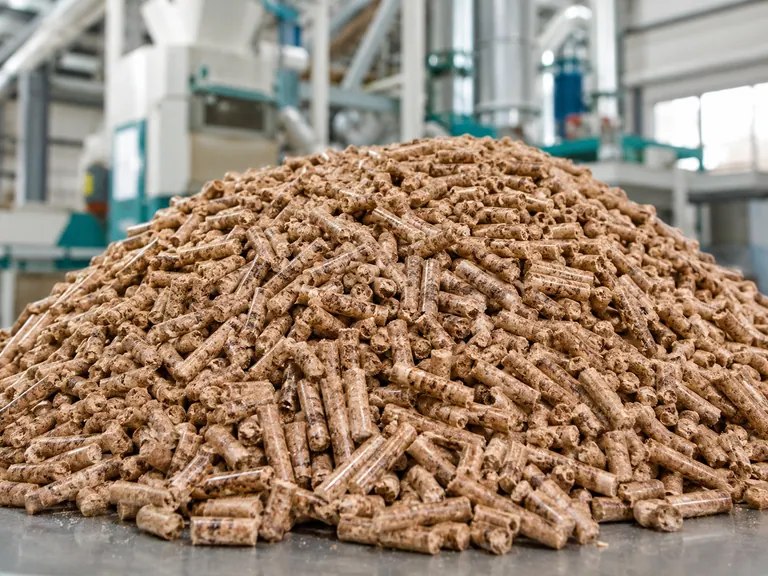 Palm pellets