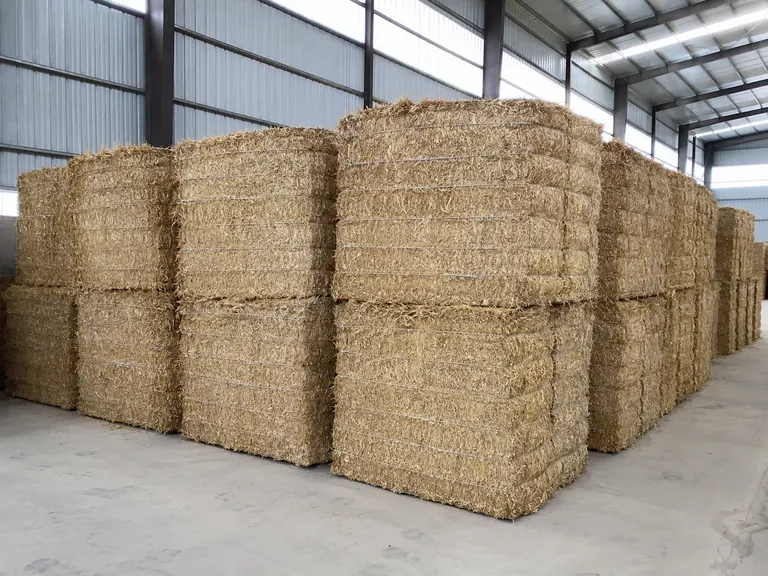 Rice straw (after)
