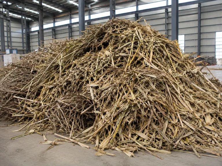 Biomass straw