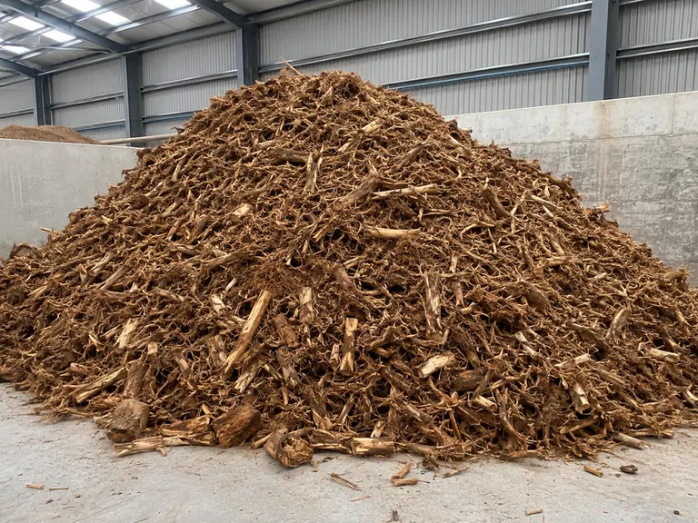 Tree roots (after)