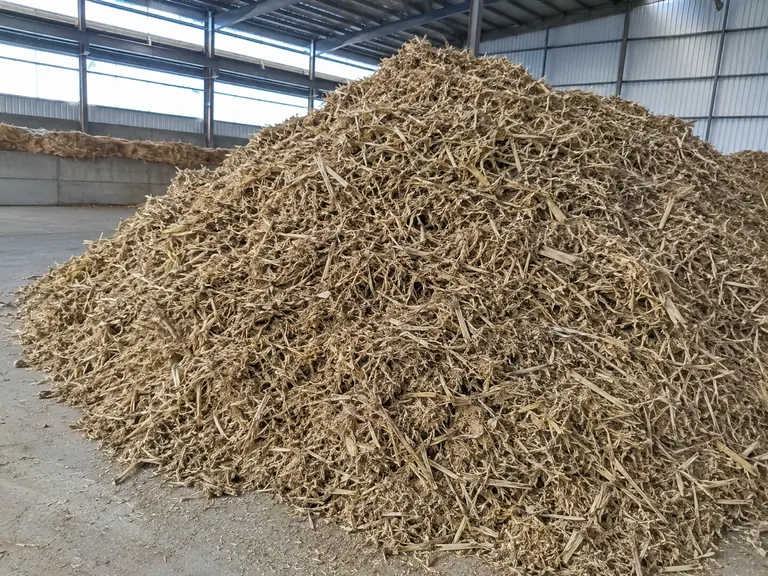 Biomass straw (after)
