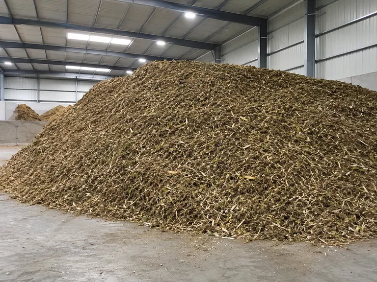 Green waste (after)