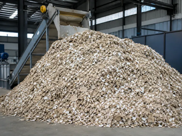Paper mill waste (after)