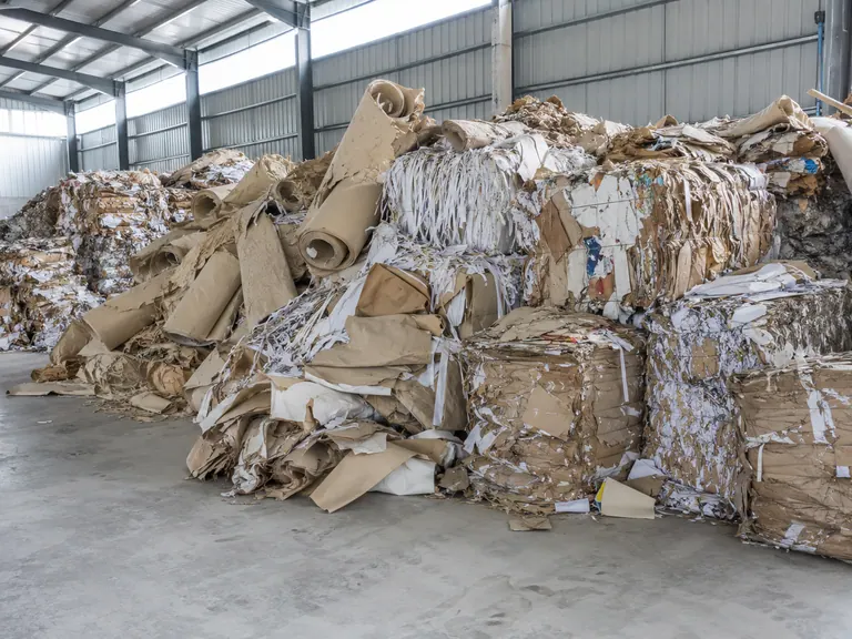 Paper mill waste